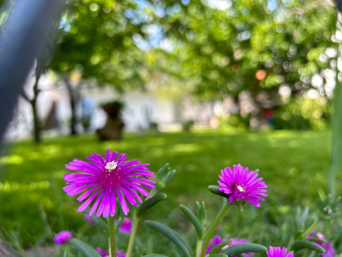 Apartment River Klis Экстерьер фото